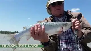 5 Amazing AZ summer Fishing and Camping Spots!