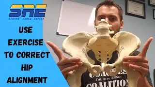 Hip Alignment Exercises