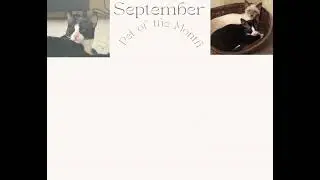 September POTM - Steve