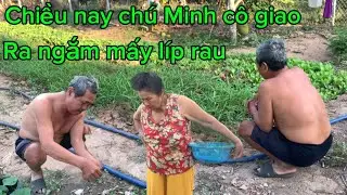 Mới mấy ngày không qua nhà chú Minh cô giao/ bữa nay trở qua/ líp rau cô chú thấy khác 