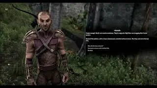 Grahtwood Main Story Quest Part 1 - The Honor of the Queen - ESO Elder Scrolls Online