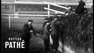 Preparing For Grand National (1940-1949)