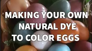 Making Your Own Natural Dye for Eggs