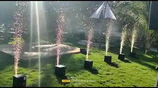 Sparkulars daylight