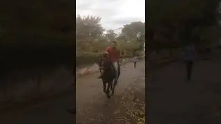Riding Fun in Spring 🌸🐎 | Horse Riding Jaipur | Zulfiqar's first solo horse ride