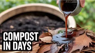 Pour This Over Dry Leaves and Watch Them Turn Into Compost In Days