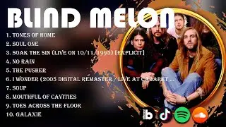 B.l.i.n.d. .M.e.l.o.n. ~ Back to the 70s 80s Playlist