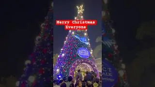 Select City Walk mall Merry Christmas 2023 #shorts #selectcitywalk