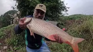 How to best bite raho fish#how to best bite red colour mix#super all rounder