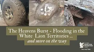 The Heavens Burst - Flooding in the White Lion Territories ... and more on the way