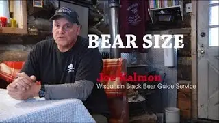 BEAR SIZE