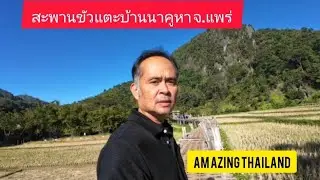สะพานไม้ไผ่ (ขัวแตะ) บ.นาคูหา จ.แพร่ เดินเล่น ถ่ายภาพ ชมวิวทุ่งนา 