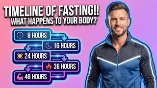 Stages of Fasting TIMELINE Hour by Hour Benefits