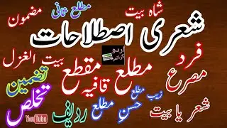 شعری اصطلاحات|Shari istalahat|Urdu Shairy istalahat|elements of Urdu Ghazal|Urdu grammar