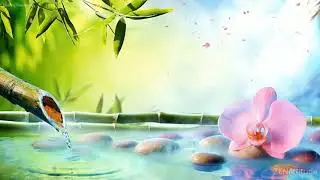 Increase  Positive Energy Levels to your mind I Meditation