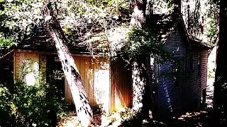 Disturbing Mystery Keddie Cabin | Unsolved Cold Case | Sheila Sharp Surviving Daughter