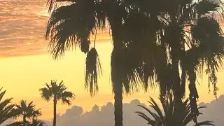 Welcome to PALM BEACH HOTEL in Gran Canaria!