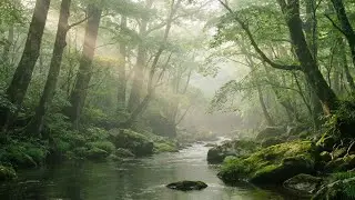 Serene River Ambience with Piano & Birds – Quiet Moments of Inner Calm