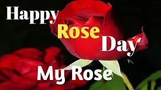 7 Feb Rose Day Special Status__Love  Shayri❤... Love Status❤