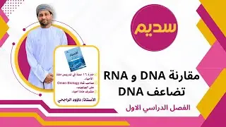 مقارنة DNA و RNA تضاعف DNA الأحياء الثاني عشر الاستاذ داوود الحجري منهج كامبردج