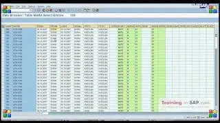 SAP Training - How to export table in SAP - SE16 transaction.avi
