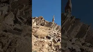 #ibex #mountains #deer #zanskar #ladakh