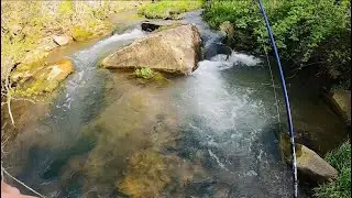TROUT FISHING Small Pennsylvania Streams In May #troutfishing #trout #fishing