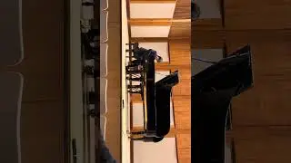 Schubert Sonata in Eb major D. 568