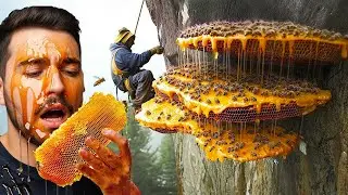 Hunting Nepal&rsquo;s Mad Honey That Makes You Hallucinate | Boring History For Sleep