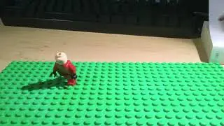 FLASH STOP MOTION EFFECT WITHOUT SOUND