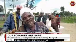 Farmers in Nyandarua dismiss pesticide report