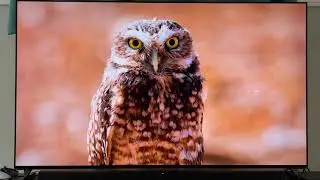 SONY A90J MASTER SERIES 4K OLED DAYTIME BRIGHT ROOM PERFORMANCE REVIEW