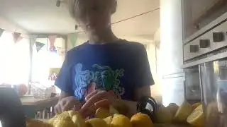 How to make a lemon and ginger ale 