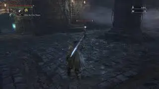 Bloodborne™ FARM DE ECOS DE SANGUE.