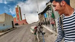 #VLOG10 | بعد غياب طويل عدنا🚶لإتمام الرحلة .و المفاجأة هي تغير حماري خوان؟🐴 #donkey #trip