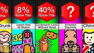 Comparison: I Bet You Didn't Know These Unusual Facts!