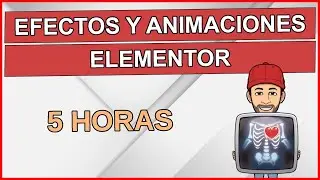 🖐️ Efectos y animaciones elementor, casi 5 horas de contenido, wordpress 138 tutorial español.