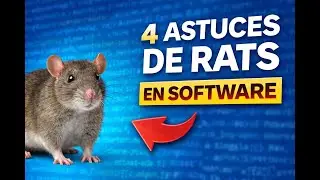 TOP 4 des Astuces de Rats #software  #windows #steam #discord