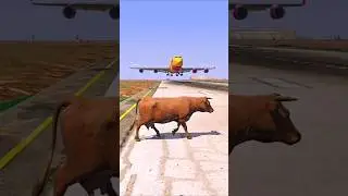 The Plane Was Landing When A Cow Suddenly Appeared Out of Nowhere | Grand Theft Auto V ||