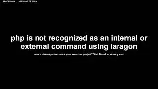 laragon php is not recognized as an internal or external command using