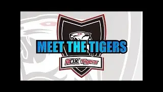 What happens when you meet ROX Tigers at Dynamic Queue