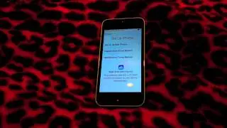 Apple iPhone 5C Setup