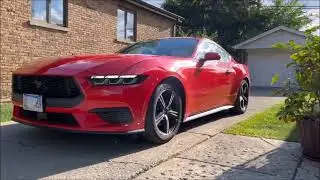 Brian C. Smith's Ford Mustang Mishap, 19 May 2025