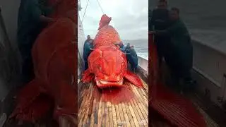 Big fish monster in sea #seacreature #creaturefx #toonmeluca ai generated