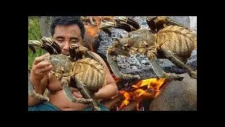 Primitive Technology - roasted black spider on rock- cooking black spi