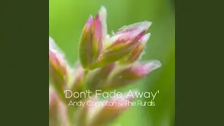 Don't Fade Away