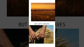 Через наставление веры приходит Дух Святой. Through faith teaching comes the Holy Spirit. #Shorts