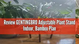 Review GENTINGBRO Adjustable Plant Stand Indoor, Bamboo Plant Holder 8 to 12 Inches, Small Tall Plan