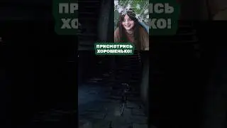 Лёгкий намек | tasitasha #Twitch