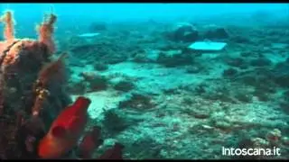 pianosa sub